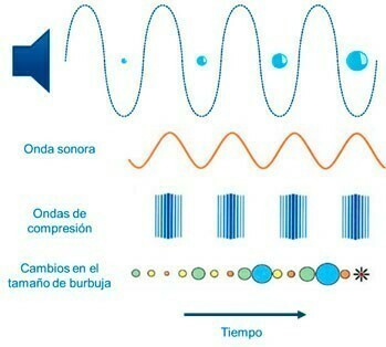 figura4