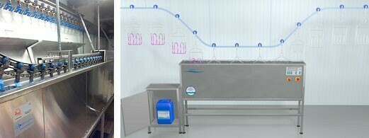 figura5