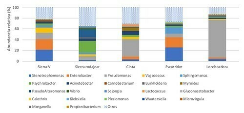 Figura 1. Principales géneros microbianos presentes en el proceso de producción de atún.