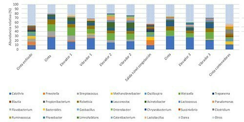 Figura 3. Principales géneros microbianos presentes en el proceso de producción de vegetales congelados.