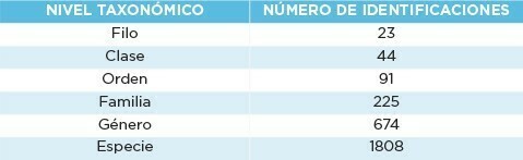 Tabla 1. Número de microorganismos identificados en cada nivel taxonómico en industria pesquera.
