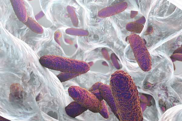Biofilms-en-la-industria-alimentaria