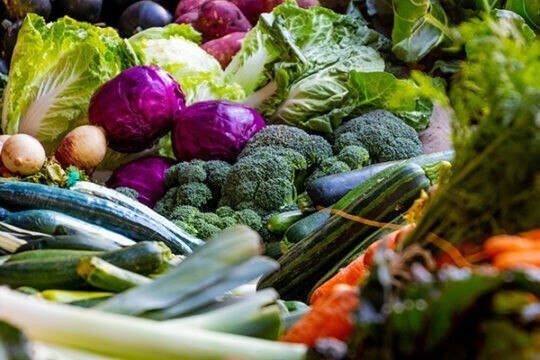 La seguridad de los alimentos sigue siendo primordial
