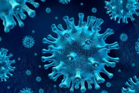 Cuestiones frecuentes sobre el coronavirus en alimentos y superficies