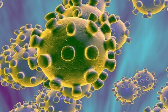 COVID-19: Estabilidad e inactivación del virus