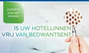 Wat je moet weten over bedwantsen