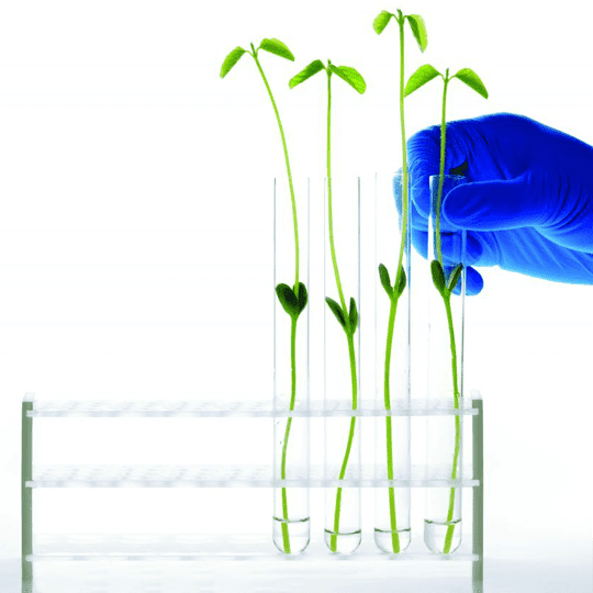 Vernieuwd ISO 14001certificaat voor milieubeheer