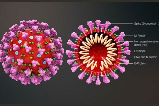 SARS-CoV-2: cómo muta el virus y sus consecuencias