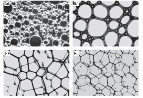 Figura 1: Representación esquemática en 2D de una espuma húmeda y seca con diferentes fracciones de volumen