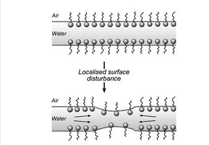 Figura 5: Efecto de la elasticidad producido al provocar una situación de estrés sobre una película delgada formada por una mezcla de aire, agua y tensioactivo. Fuente: Pugh, 2016.