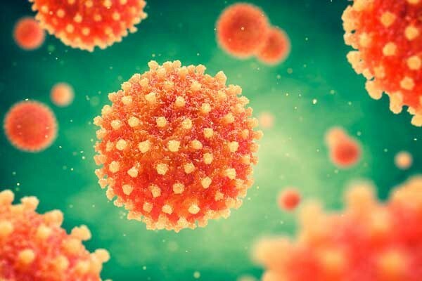 Virus de la Hepatitis E como patógeno emergente