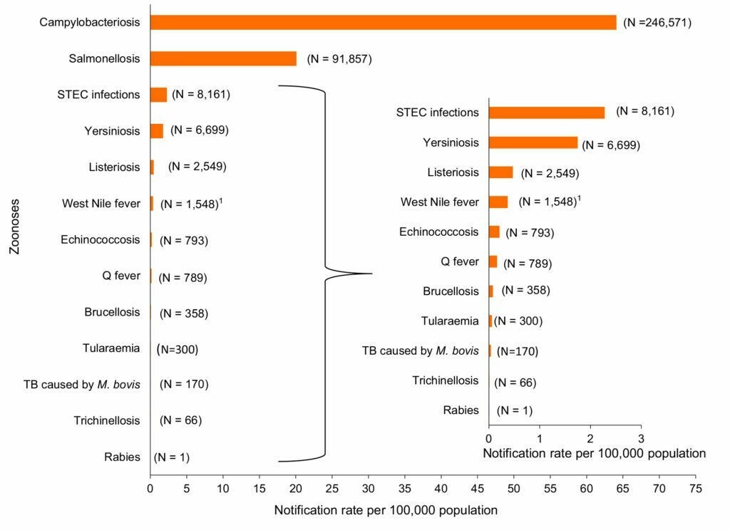 Figura 1. Principales microorganismos causantes de zoonosis y toxiinfecciones alimentarias en la Unión Europea en 2018 (EFSA y ECDC, 2019).