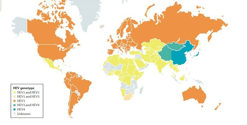 Figura 1. Genotipos de HEV presentes a nivel mundial (Kamar et al., 2017).