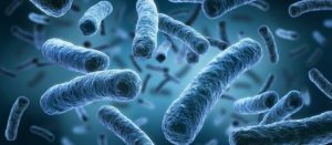 Dossier: biofilm en enzymen