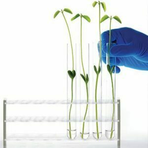 Certificat renouvelé de gestion environnementale