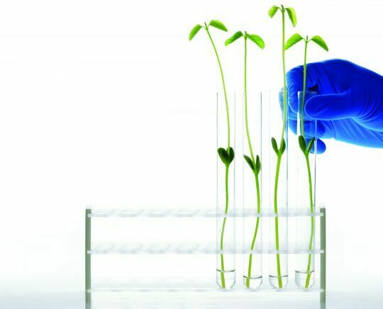 Renewed certificate environmental management