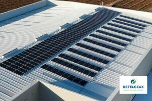 Responsabilidad Social Empresarial en la industria alimentaria