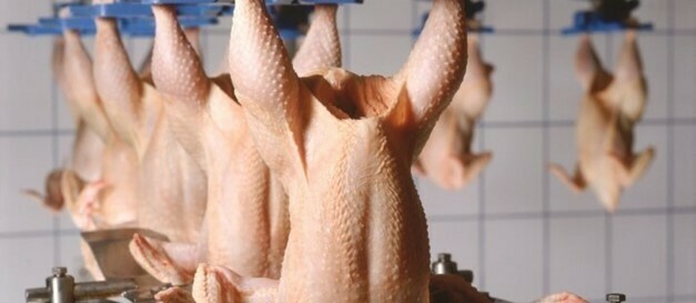Reiniging en desinfectie in de pluimveeverwerkende industrie