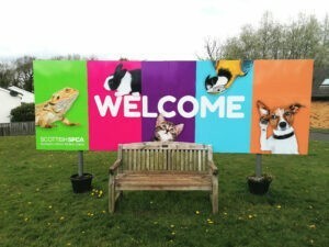 Donation to Lanakshire Animal Rescue & Rehoming Centre