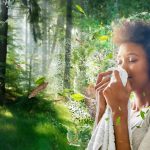 Descubra o nosso Portfolio de Fragrâncias para Amaciadores