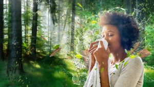 Descubra o seu amaciador para o processo de lavandaria