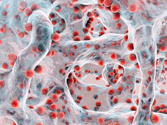 Biofilms in de voedingsindustrie: risico’s, vorming en beheersing