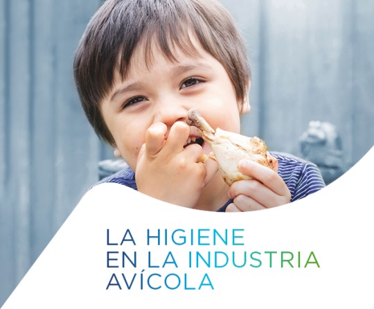 Higiene en la industria avícola