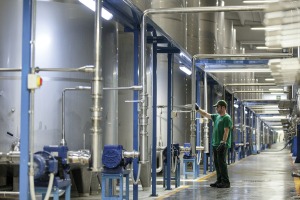 hygiene food products