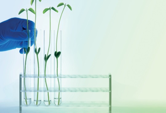 Sustainability: Water & Energy Saving