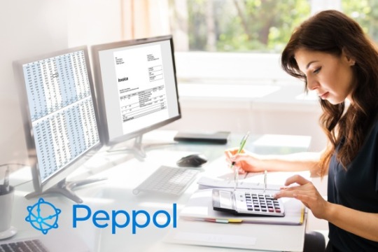 Ensemble vers la facturation électronique via Peppol