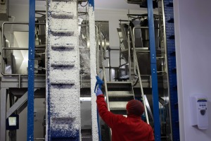 Forresters, in favour of foam