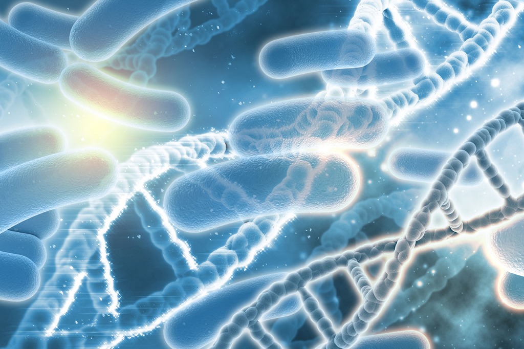 Nieuwe EU-regelgeving listeria: wat moet u weten?