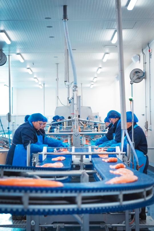 Norwegian Seafood renforce la prévention contre la listéria avec LoopiX