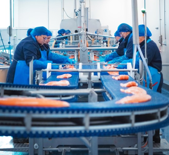 Norwegian Seafood versterkt listeriapreventie met LoopiX