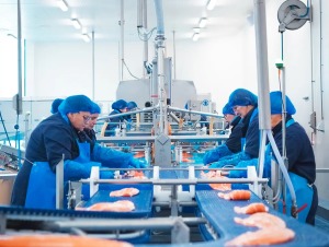 Elintarviketurvallisuuden vaatimusten kiristyminen: Norjan kalateollisuuden edistysaskeleet