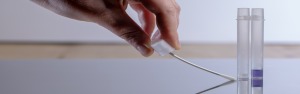 FreshCheck swabs