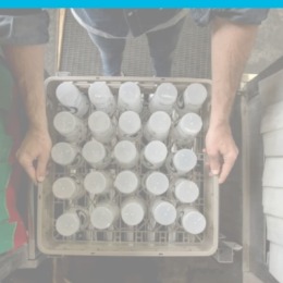 person putting plastic bottles in dishwasher