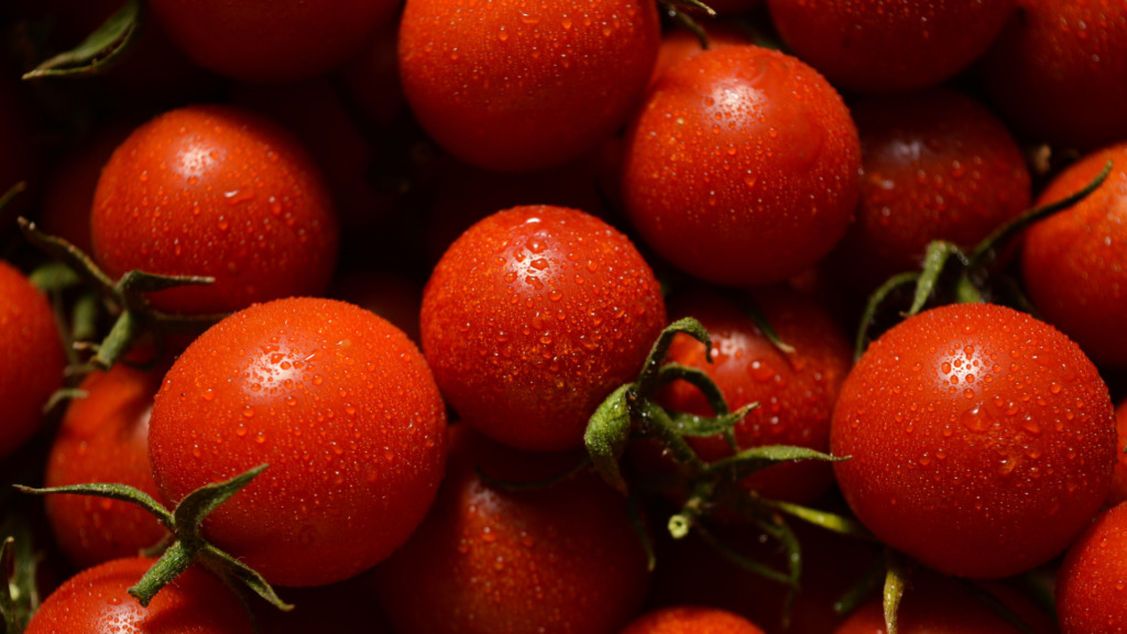 Higiene Industrial na Transformação do Tomate