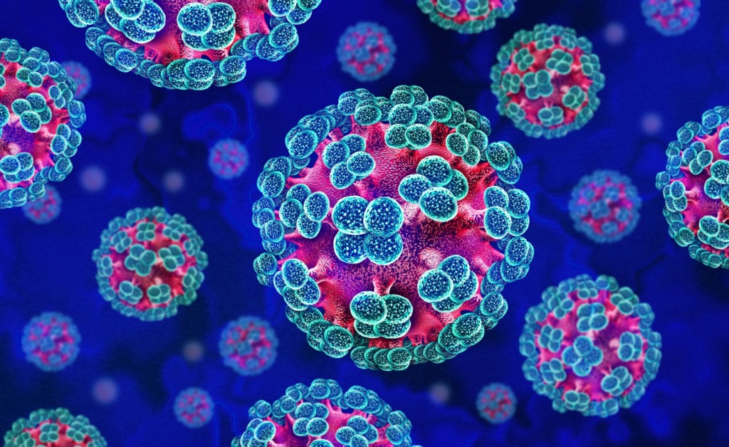 Peracetic acid: effective disinfection against Hantavirus