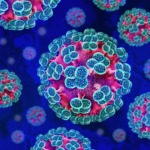 Hantavirus outbreak: peracetic acid offers effective disinfection