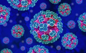 Peracetic acid: effective disinfection against Hantavirus