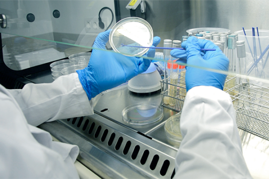 Secuenciación genómica y control microbiológico de los procesos de higiene